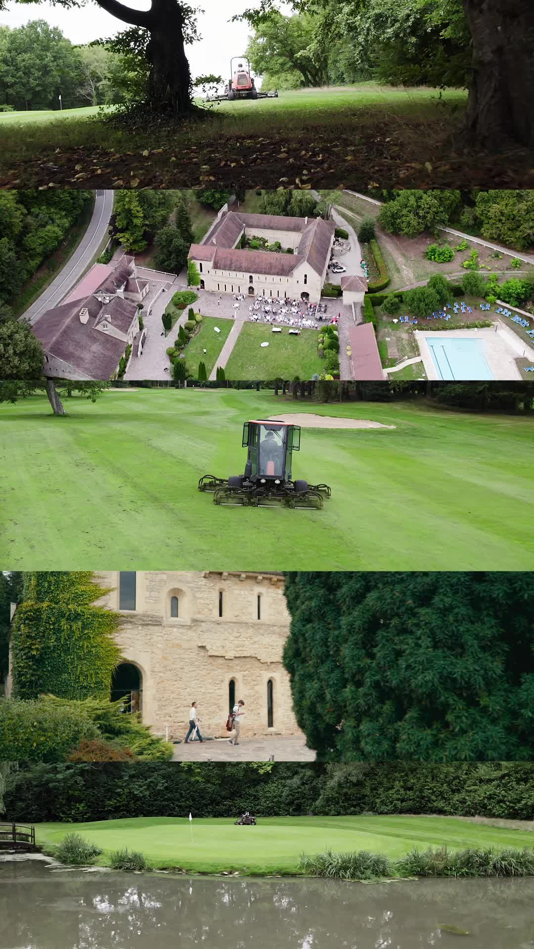 Video post by @blairfergusonmedia on TikTok