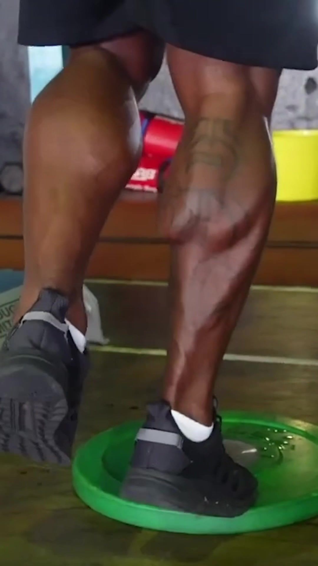 Video post by @gainlinesfitness on TikTok