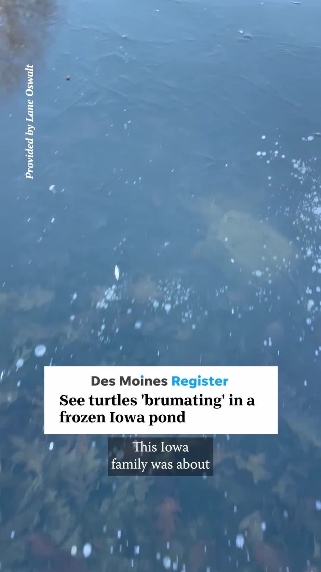 Video post by @dmregister on TikTok