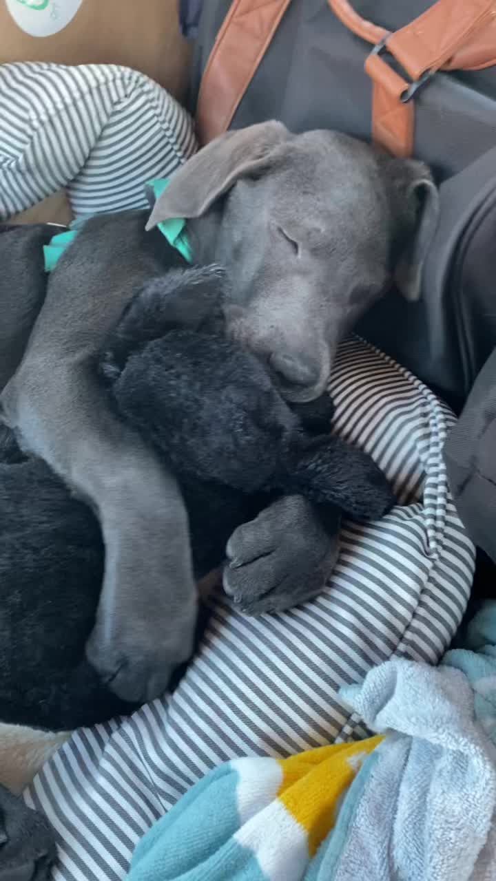 Video post by @murphaway on TikTok