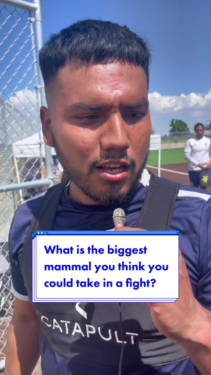 Video post by @nocohailstormfc on TikTok