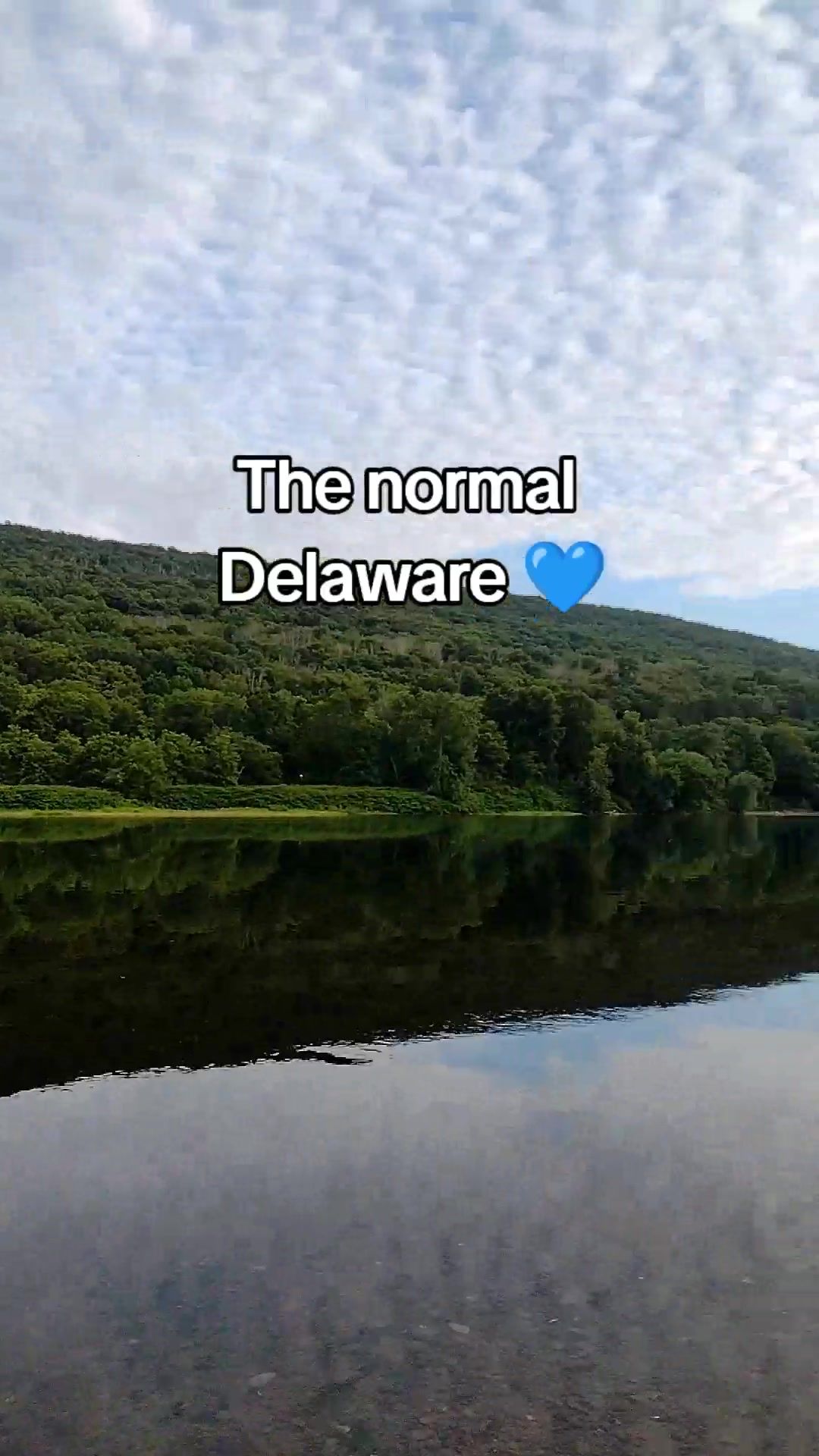 Video post by @shawneeinn on TikTok