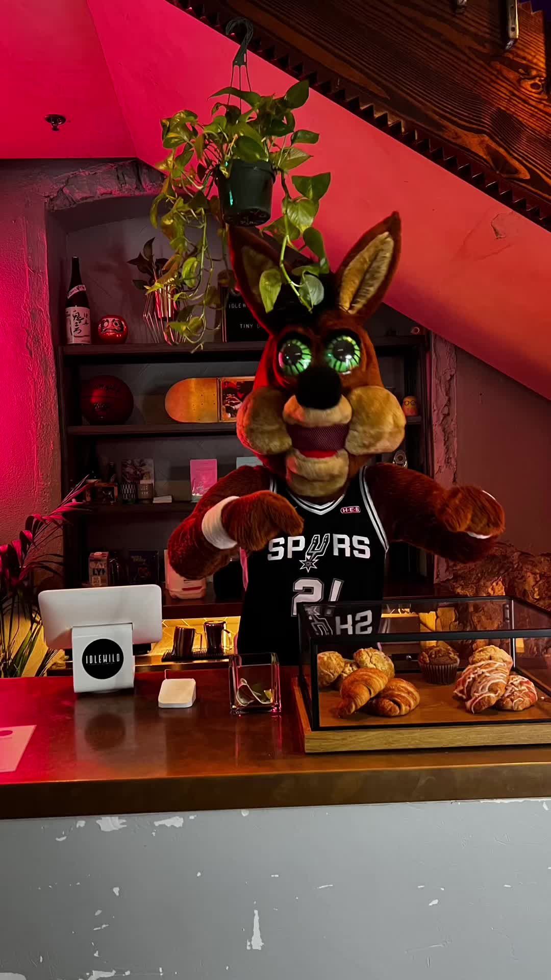 Video post by @spurs on TikTok