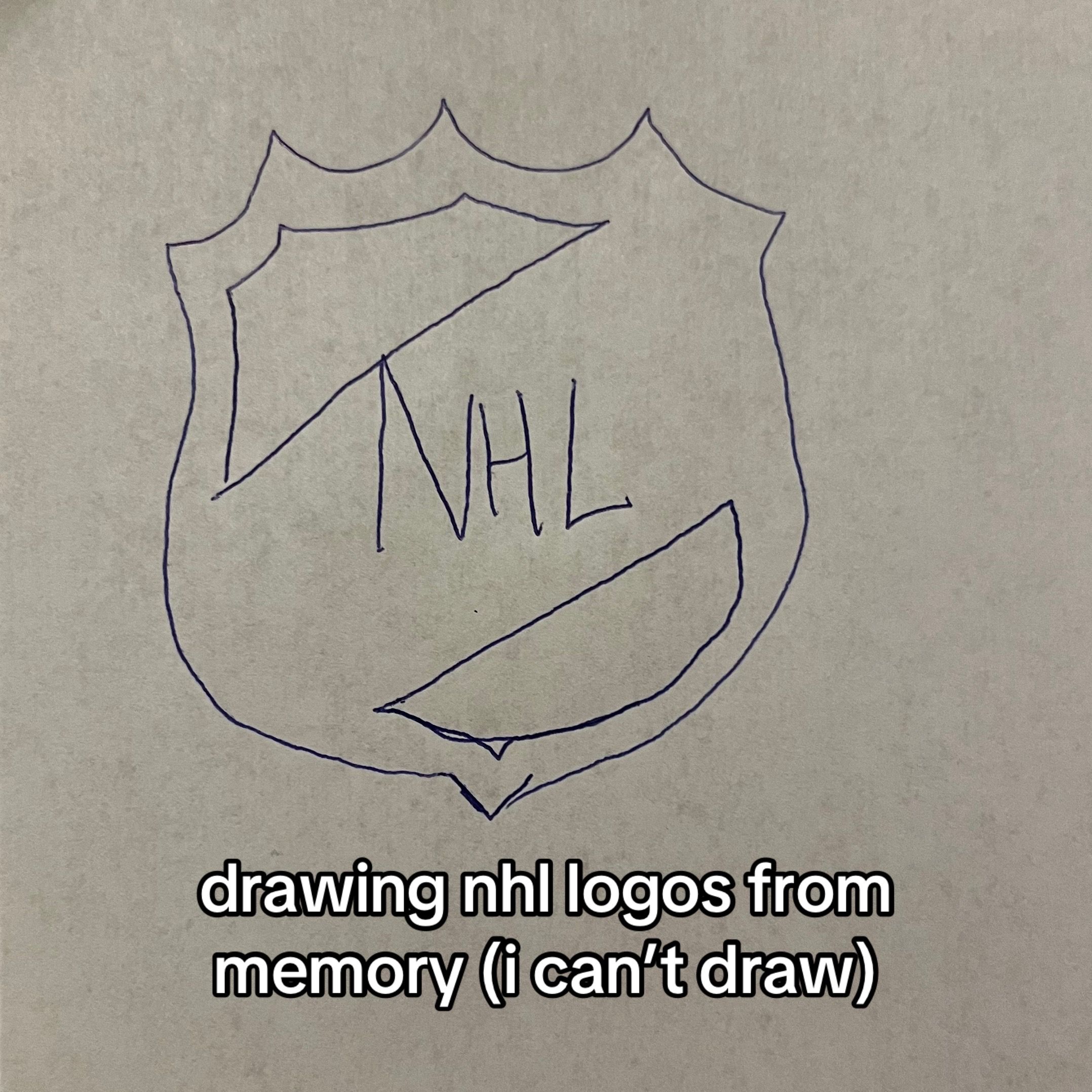 Video post by @slapshot.sarahh on TikTok