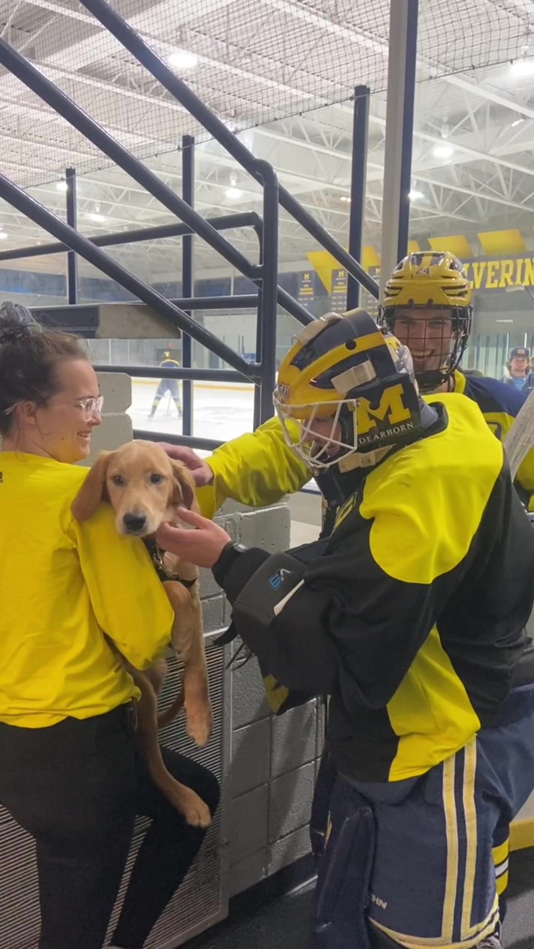 Video post by @umdearbornhky on TikTok