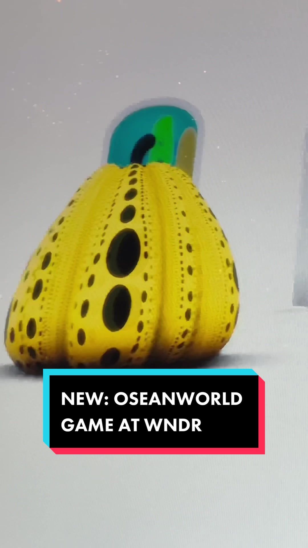 Video post by @wndrmuseum on TikTok