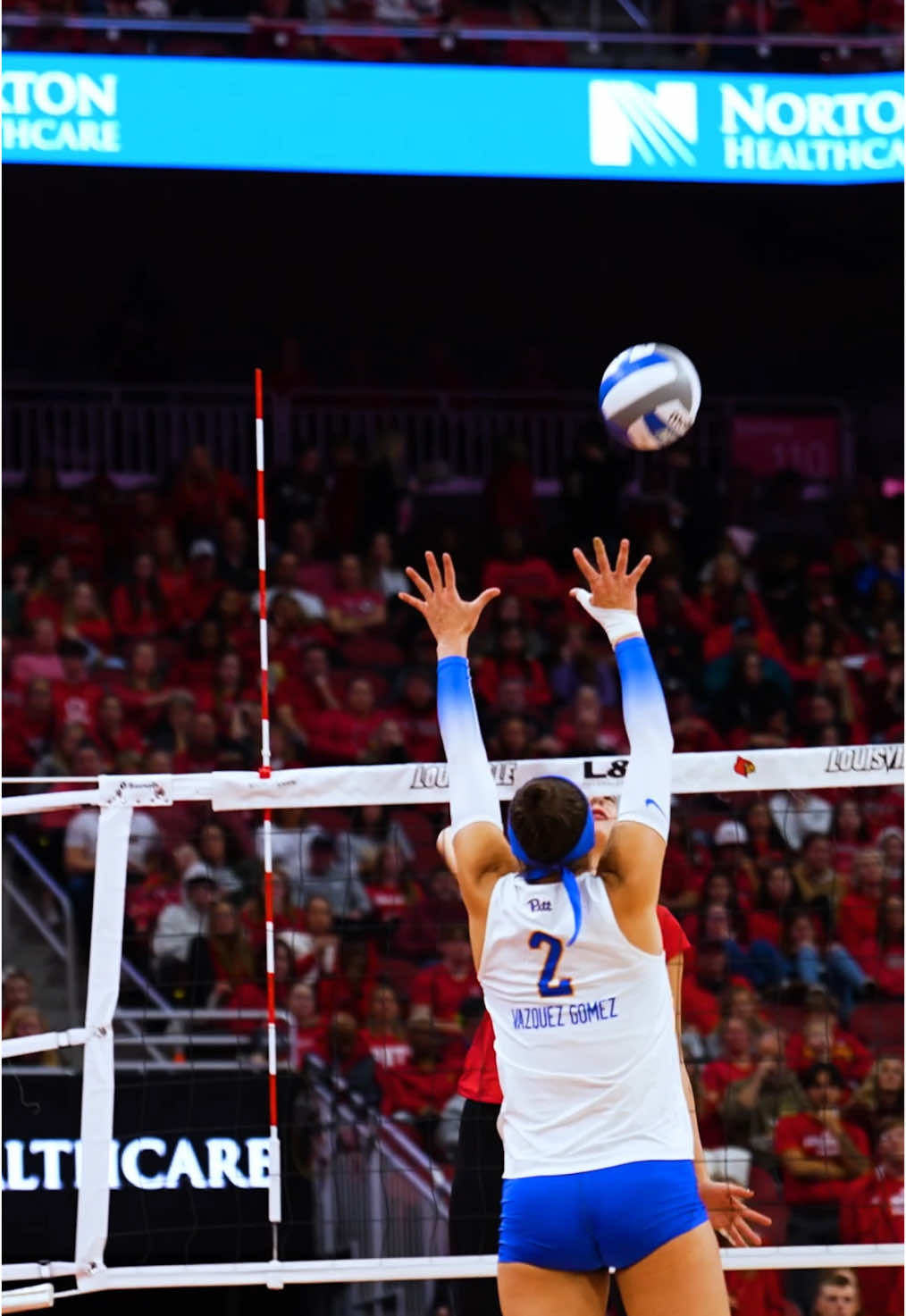 Video post by @winterxst on TikTok