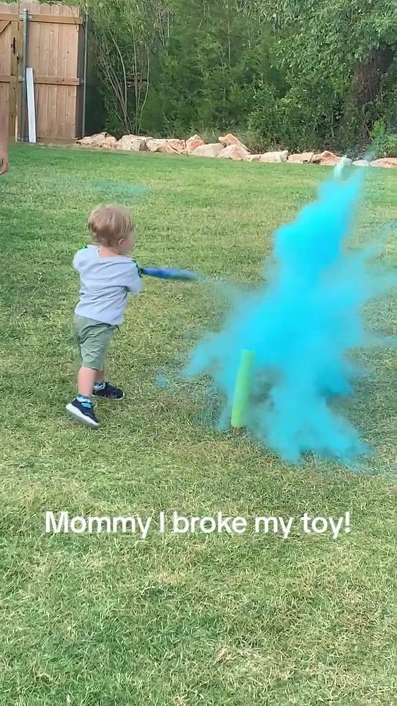 Video post by @houseofhighlights on TikTok