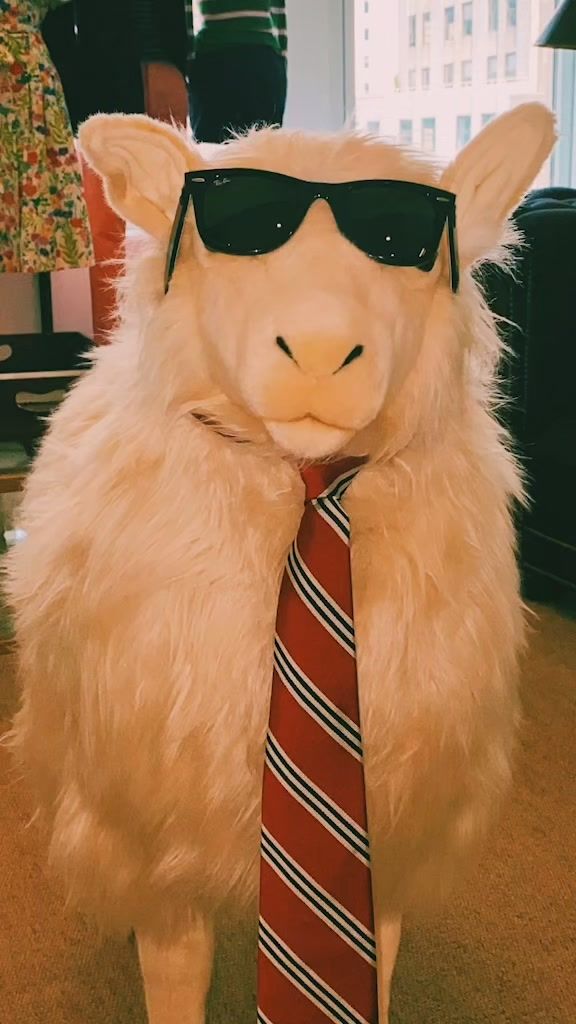 Video post by @brooksbrothers on TikTok