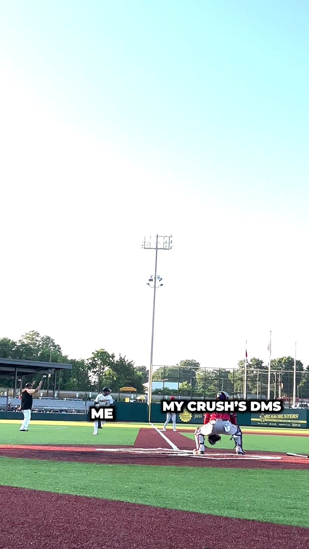 Video post by @gohoneyhunters on TikTok