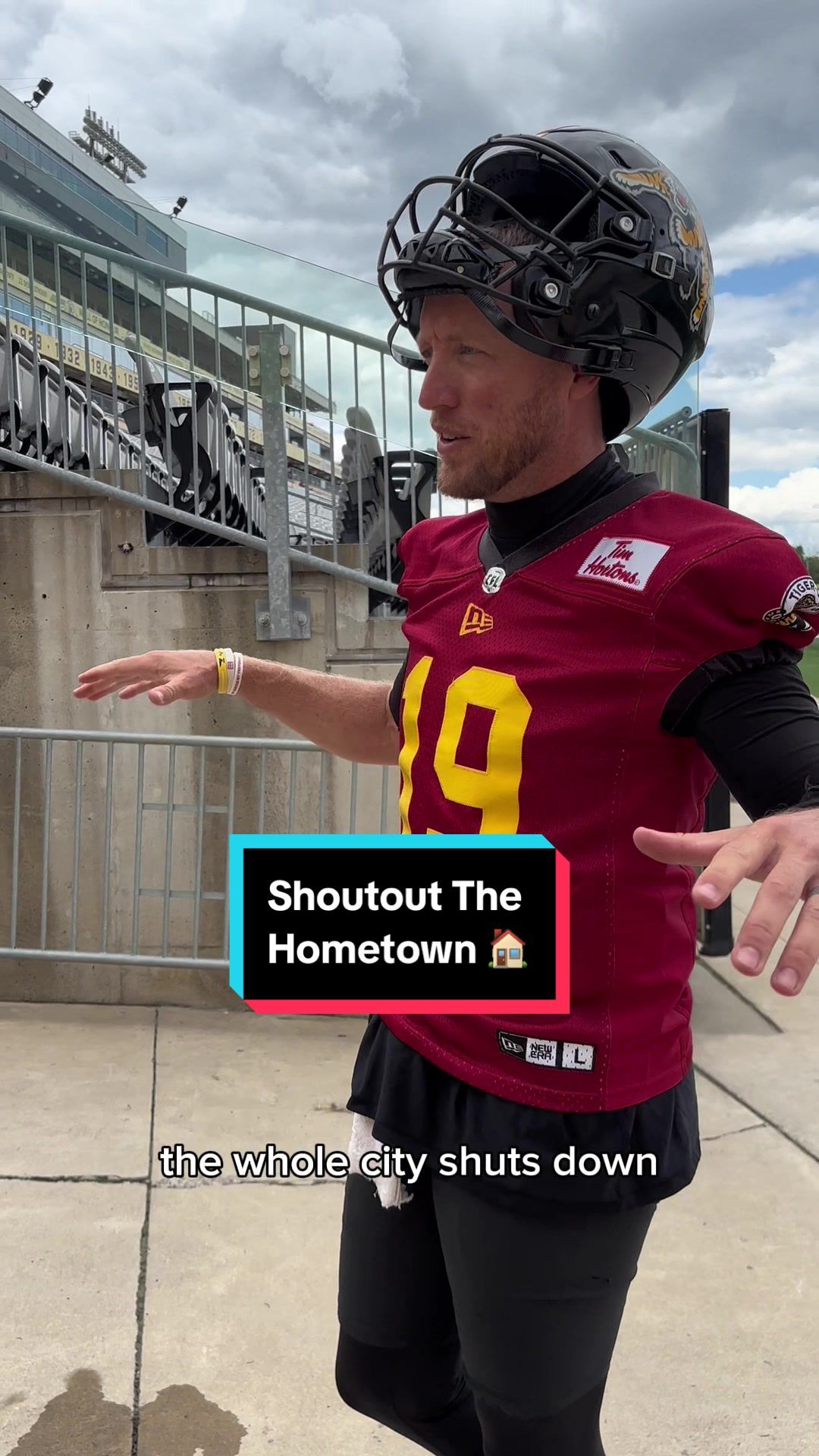Video post by @hamiltonticats on TikTok