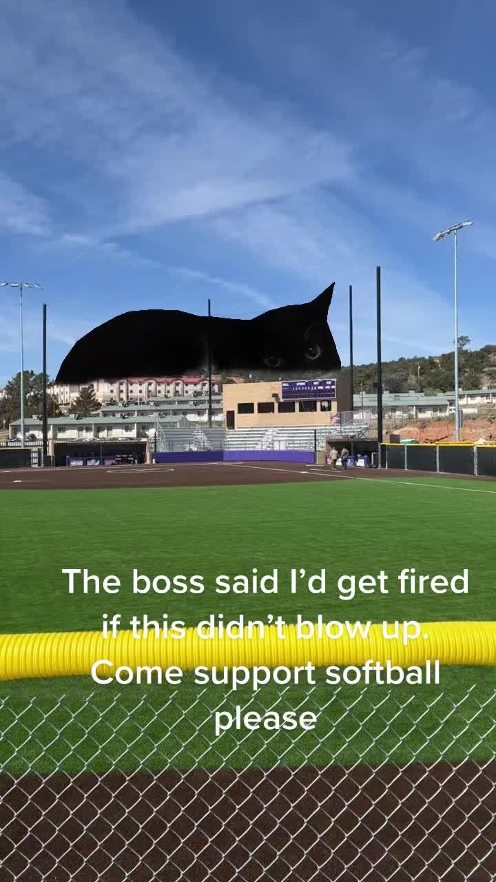 Video post by @wnmuathletics_ on TikTok