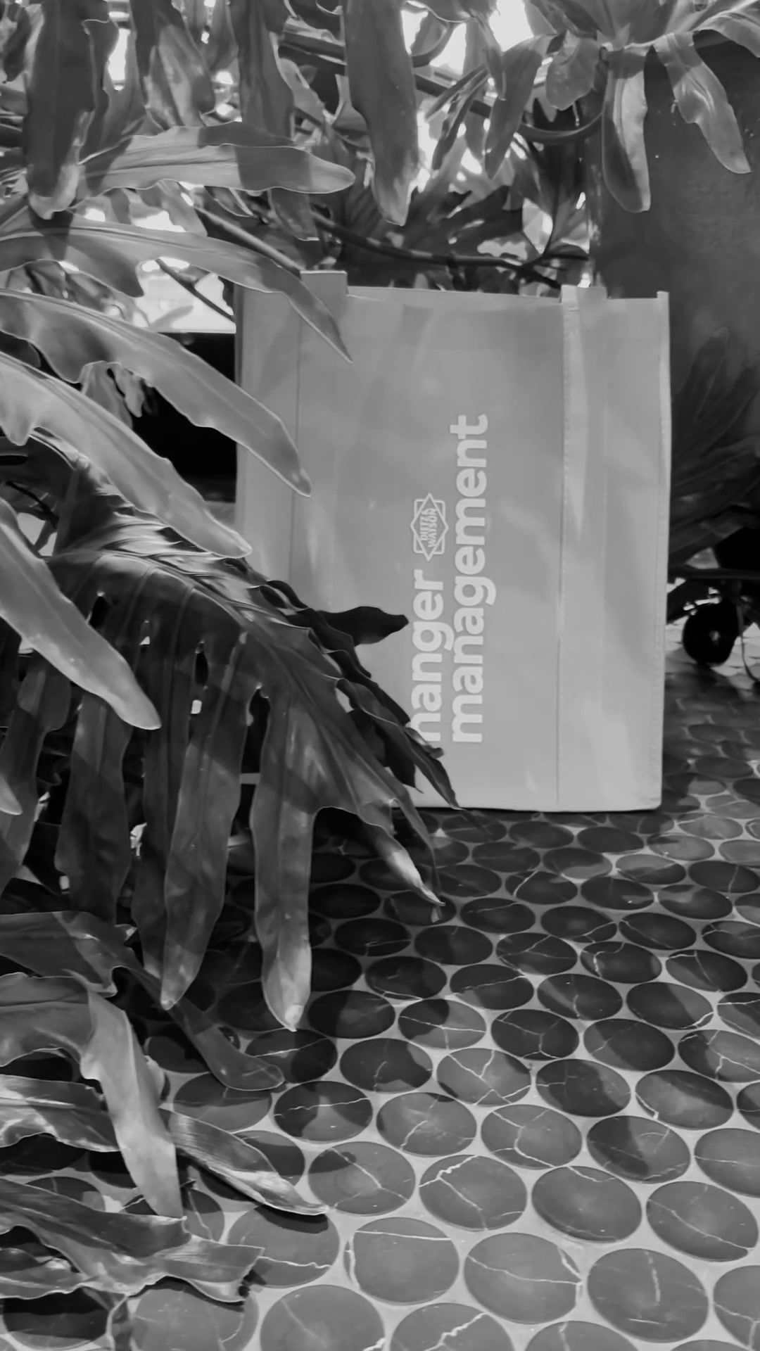 Video post by @dietzandwatson on TikTok