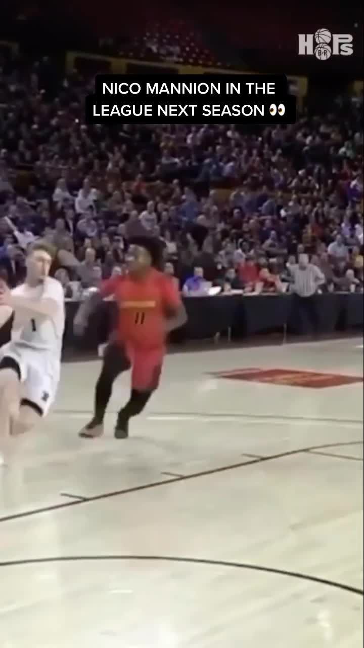 Video post by @brhoops on TikTok