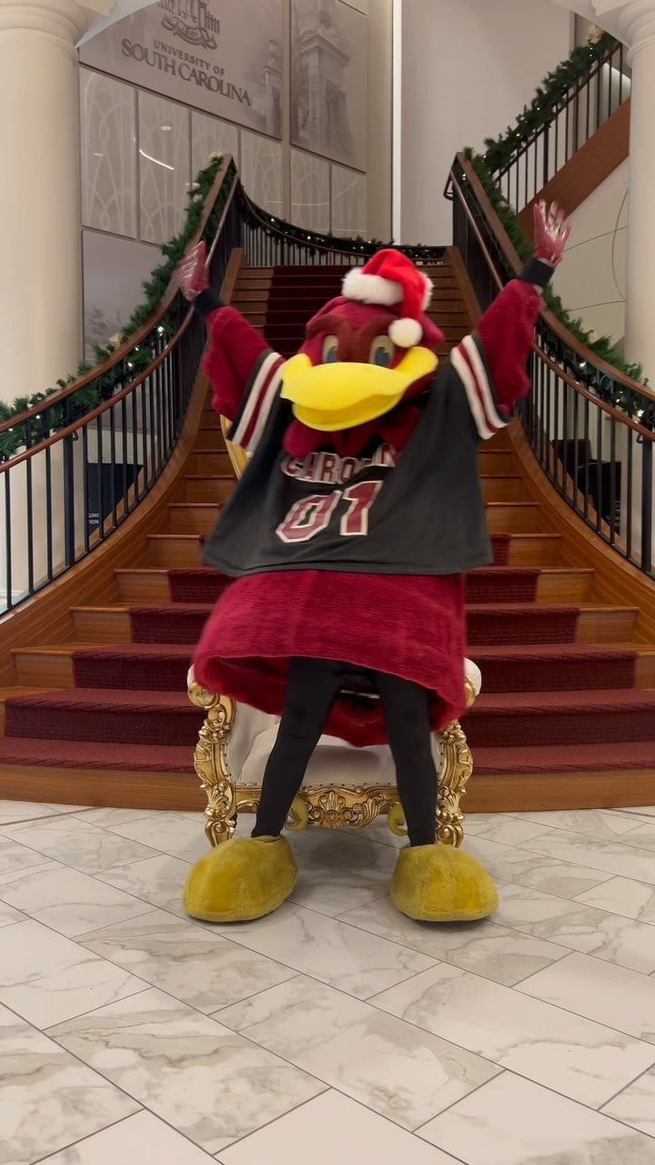 Video post by @uofscalumni on Facebook