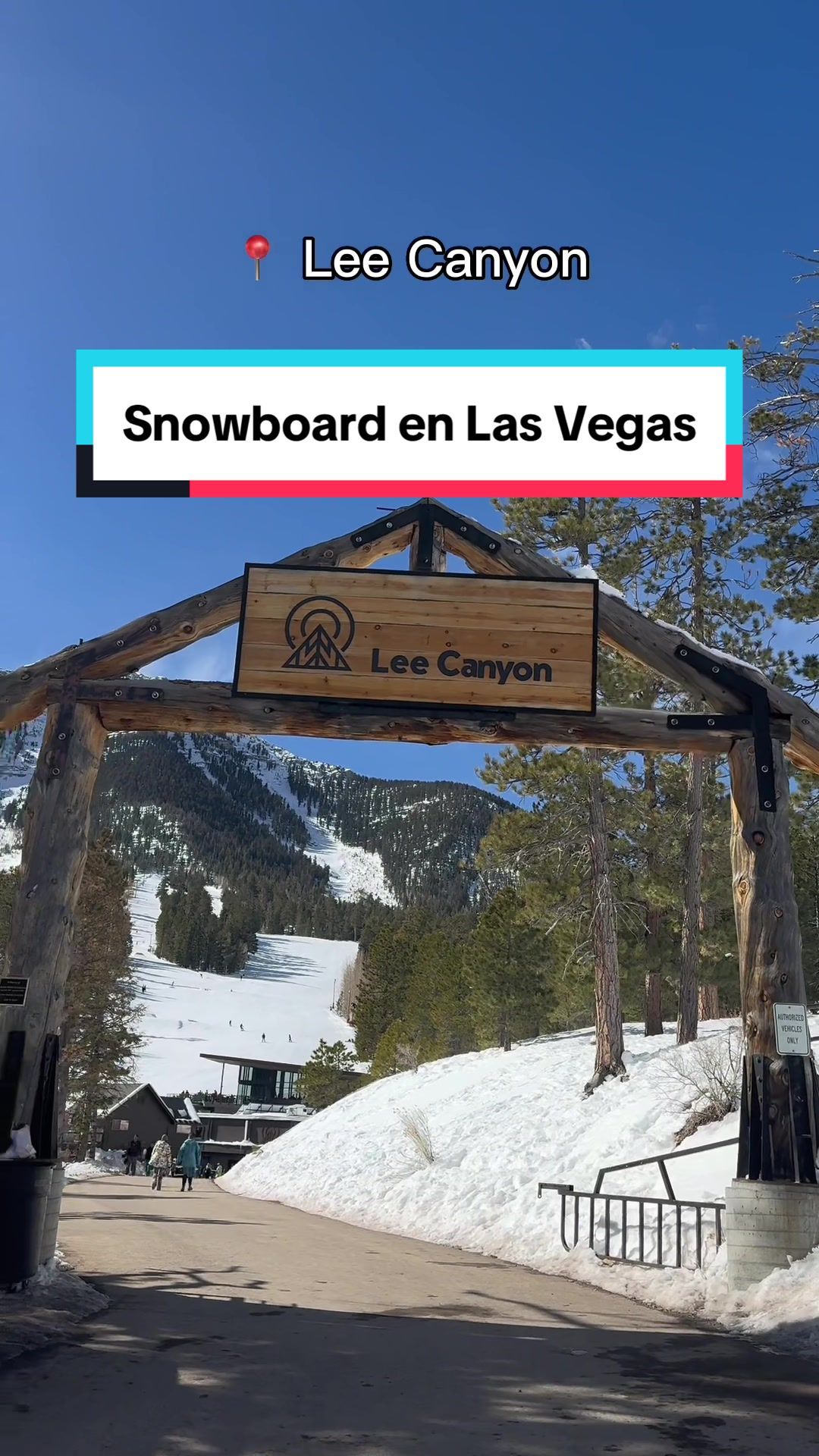 Video post by @vegasenespanol on TikTok