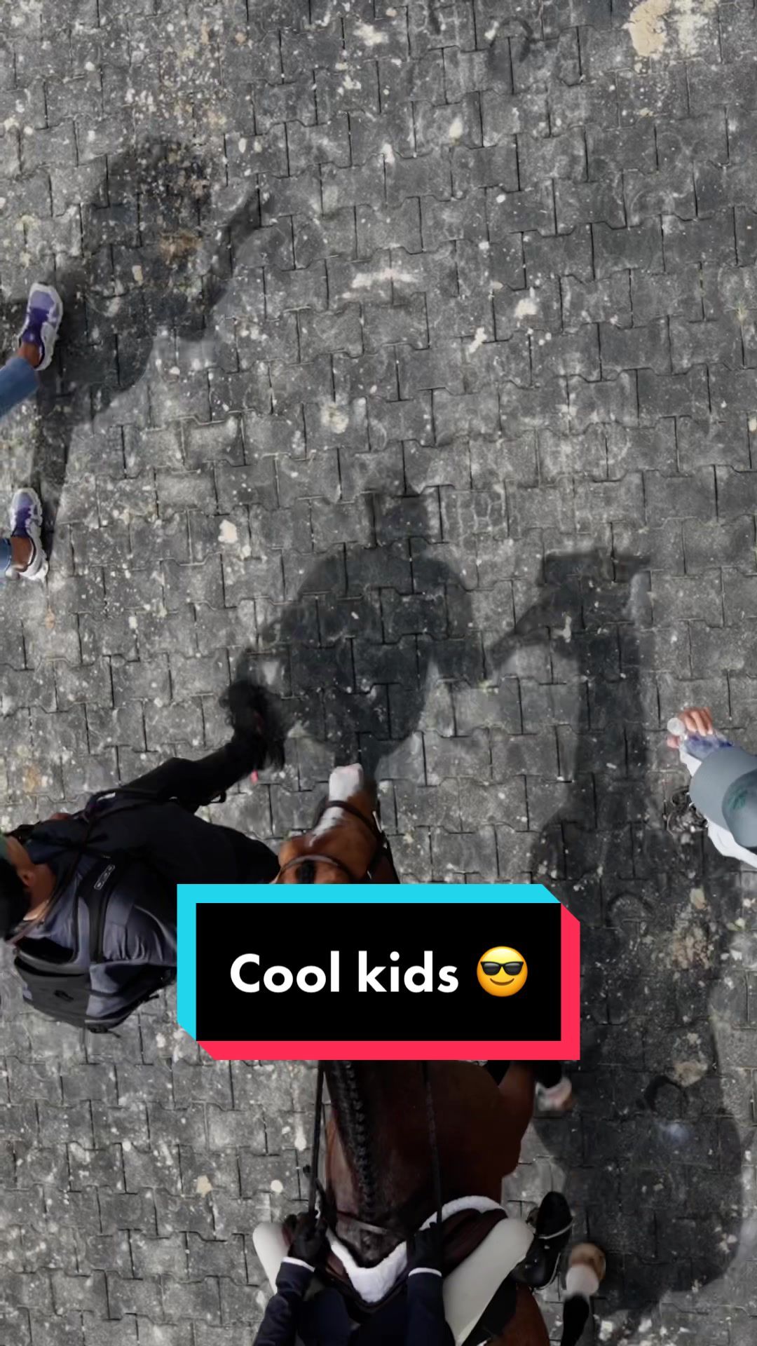 Video post by @usequestrian on TikTok