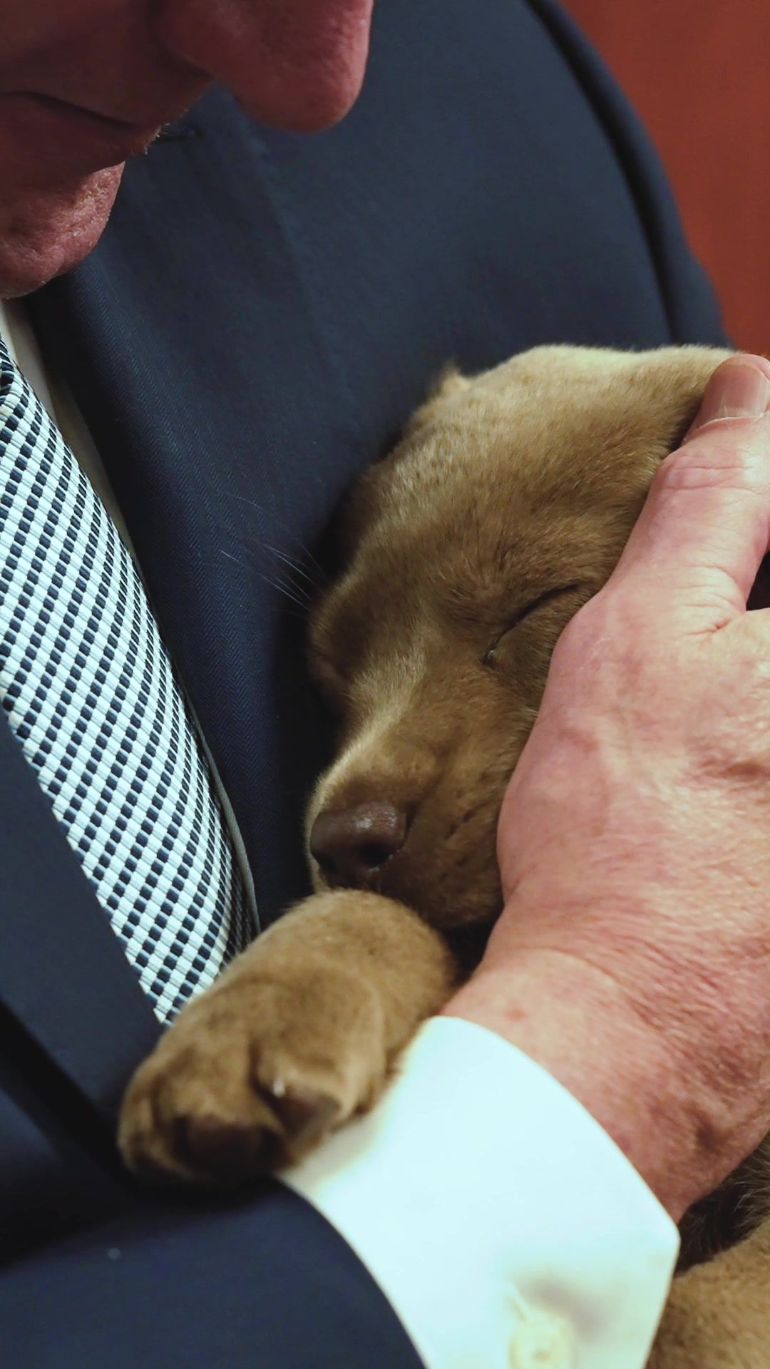 Video post by @dukembb on TikTok