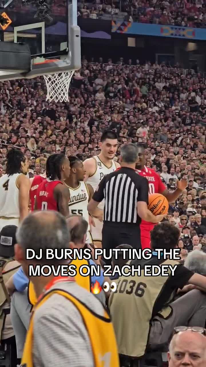 Video post by @houseofhighlights on TikTok