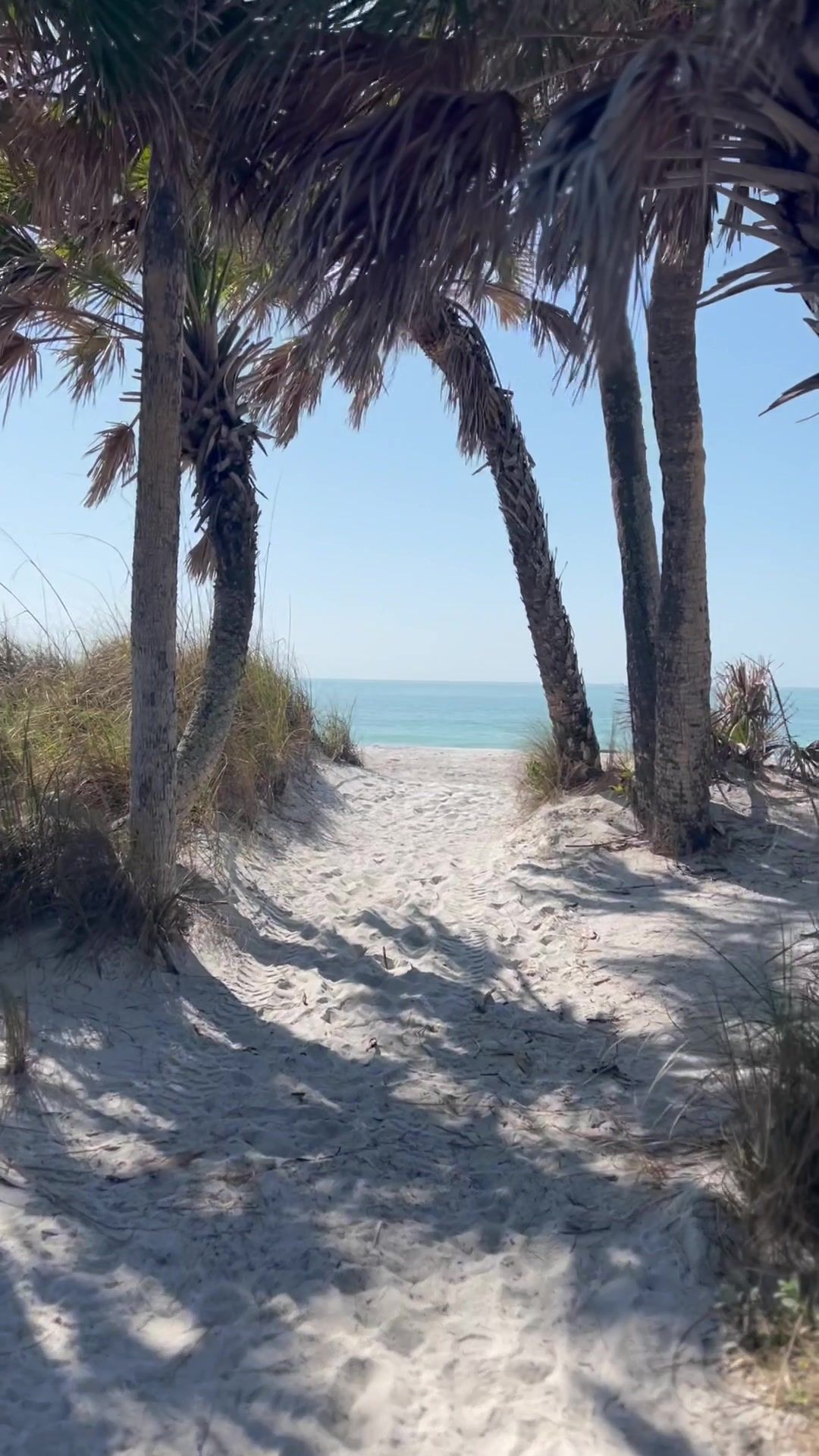 Video post by @malbevels on TikTok