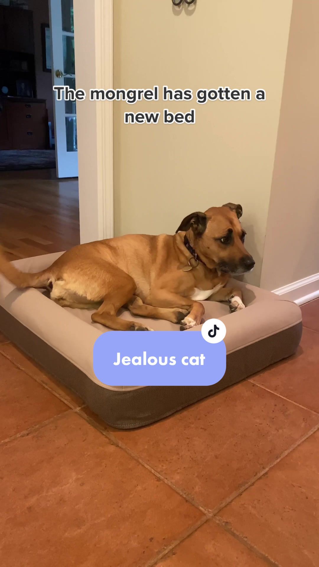 Video post by @casper on TikTok