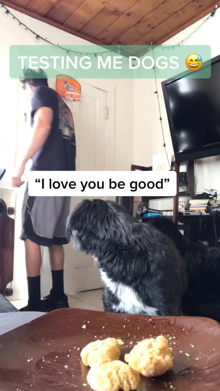 Video post by @jordankahana on TikTok