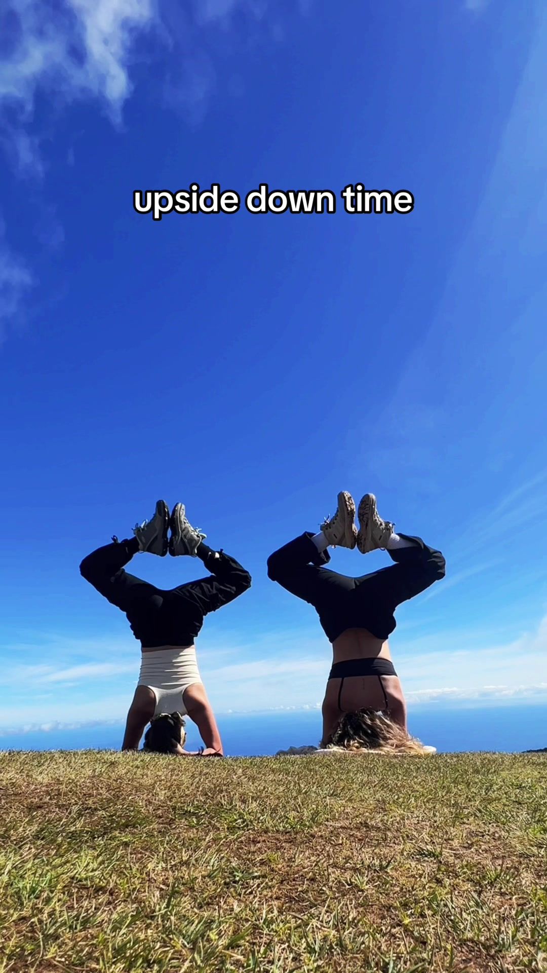 Video post by @torresale3 on TikTok