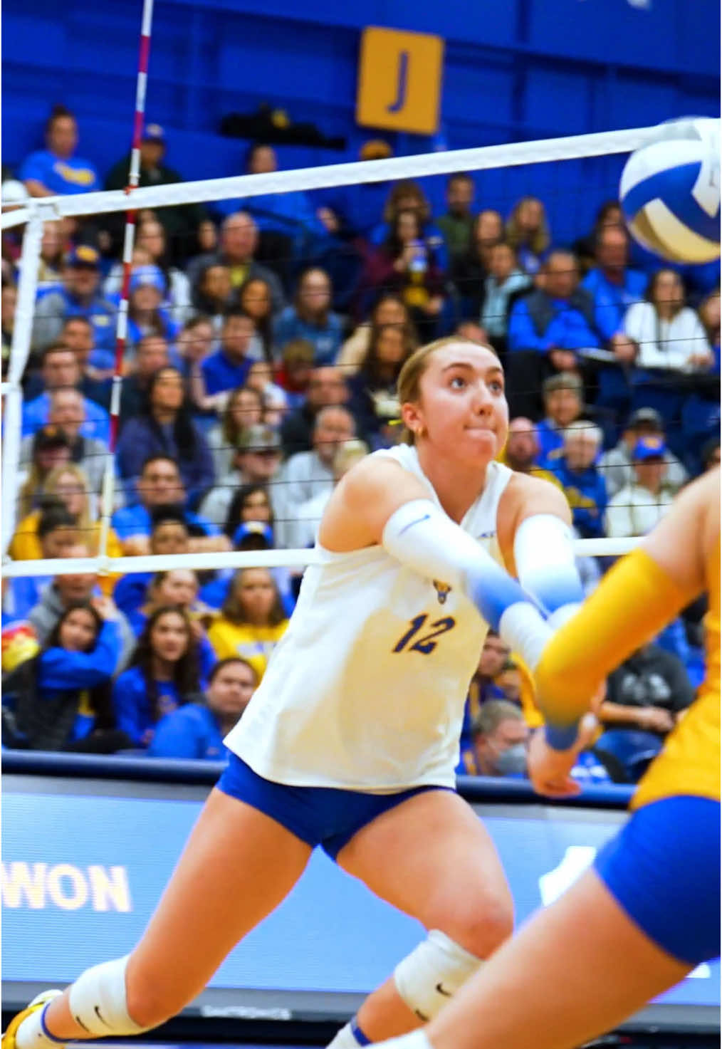 Video post by @winterxst on TikTok