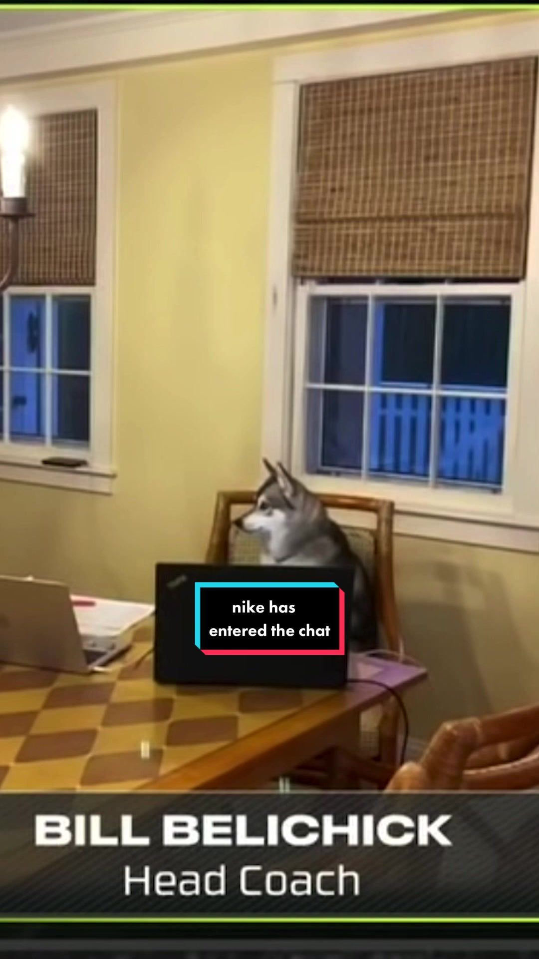 Video post by @patriots on TikTok