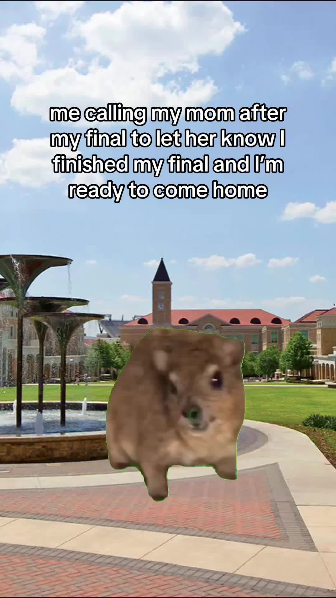 Video post by @texaschristianuniversity on TikTok