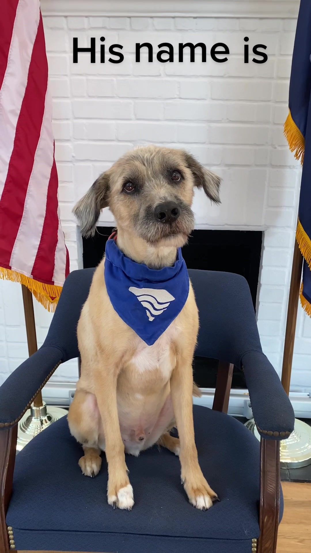 Video post by @joecunninghamsc on TikTok