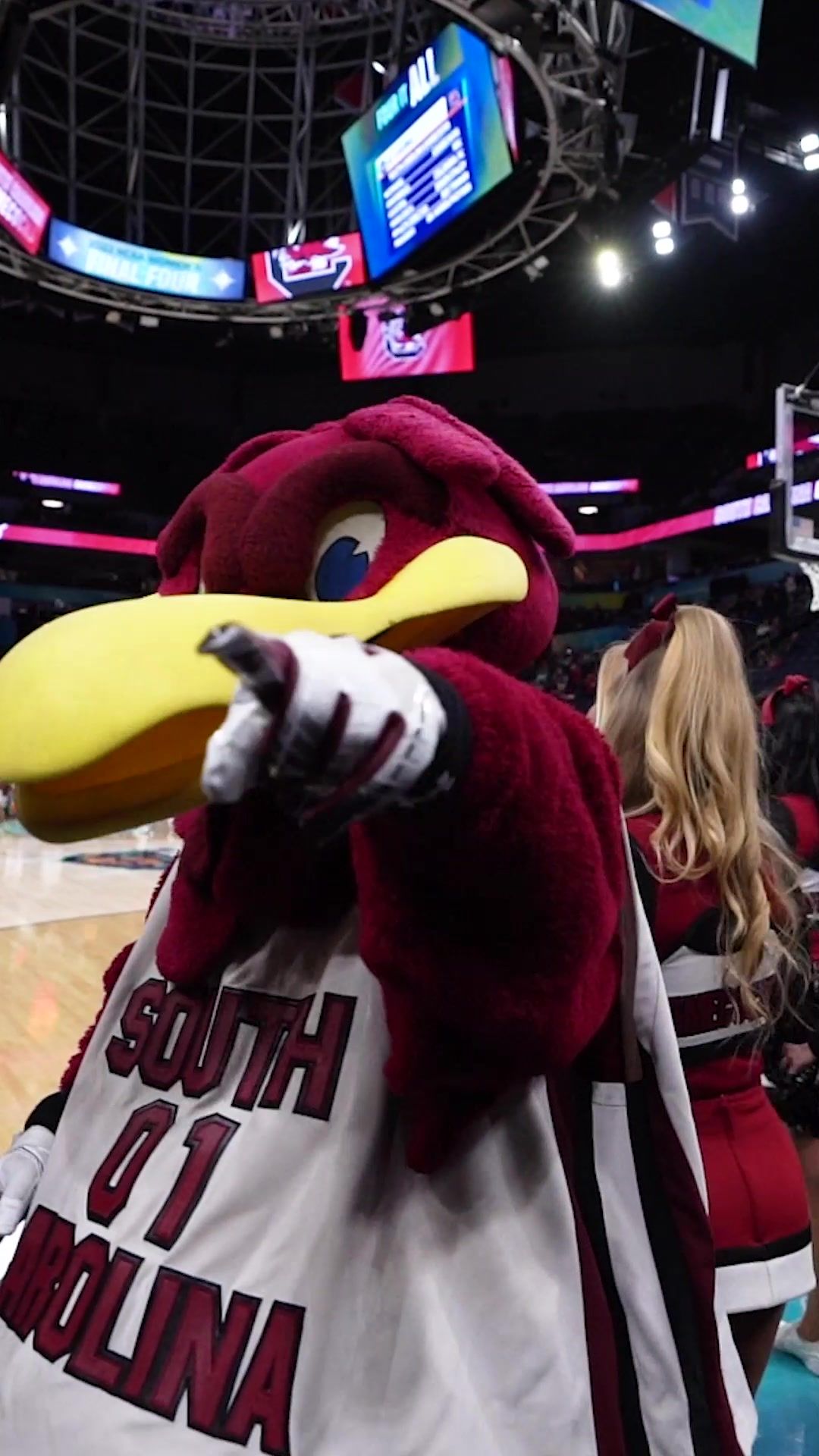 Video post by @marchmadnesswbb on TikTok