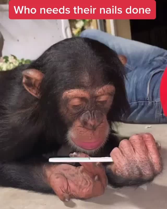 Video post by @togethxr on TikTok