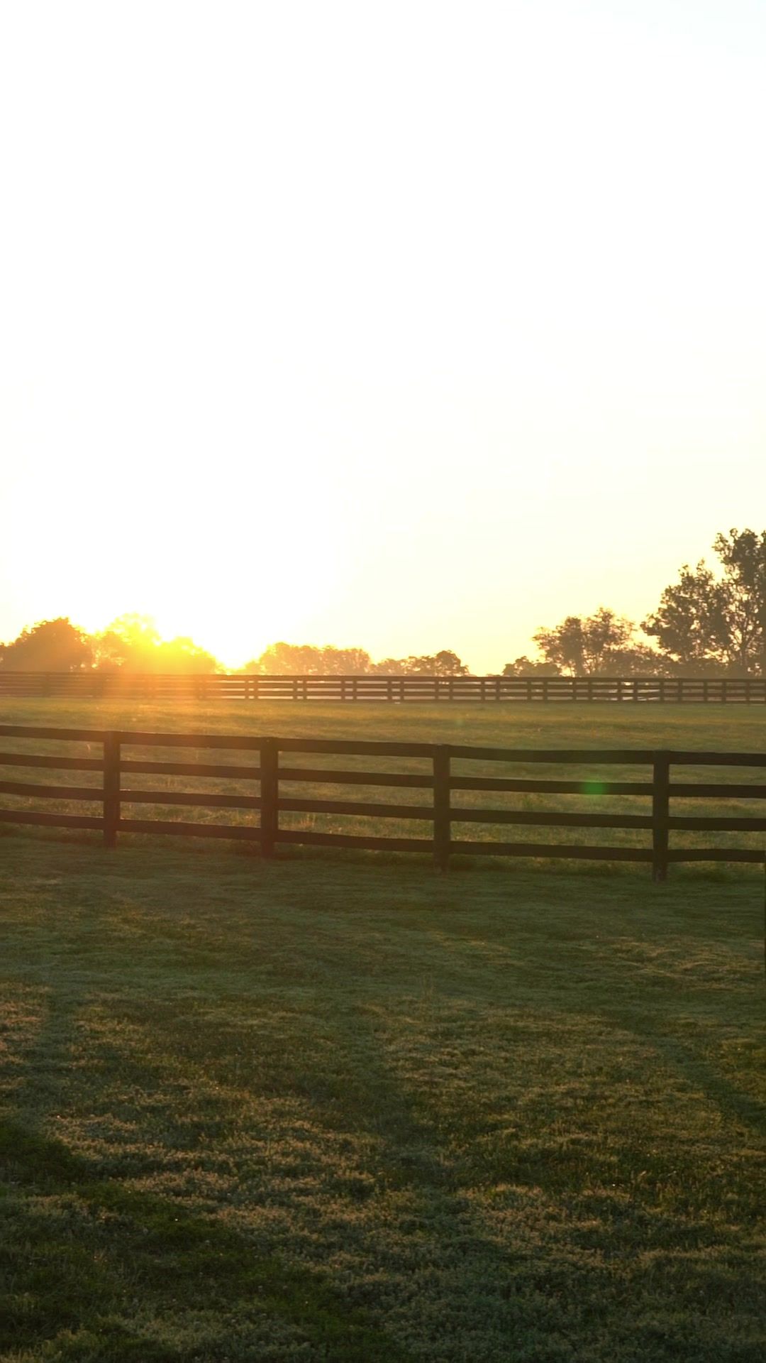 Video post by @spendthriftfarm on TikTok