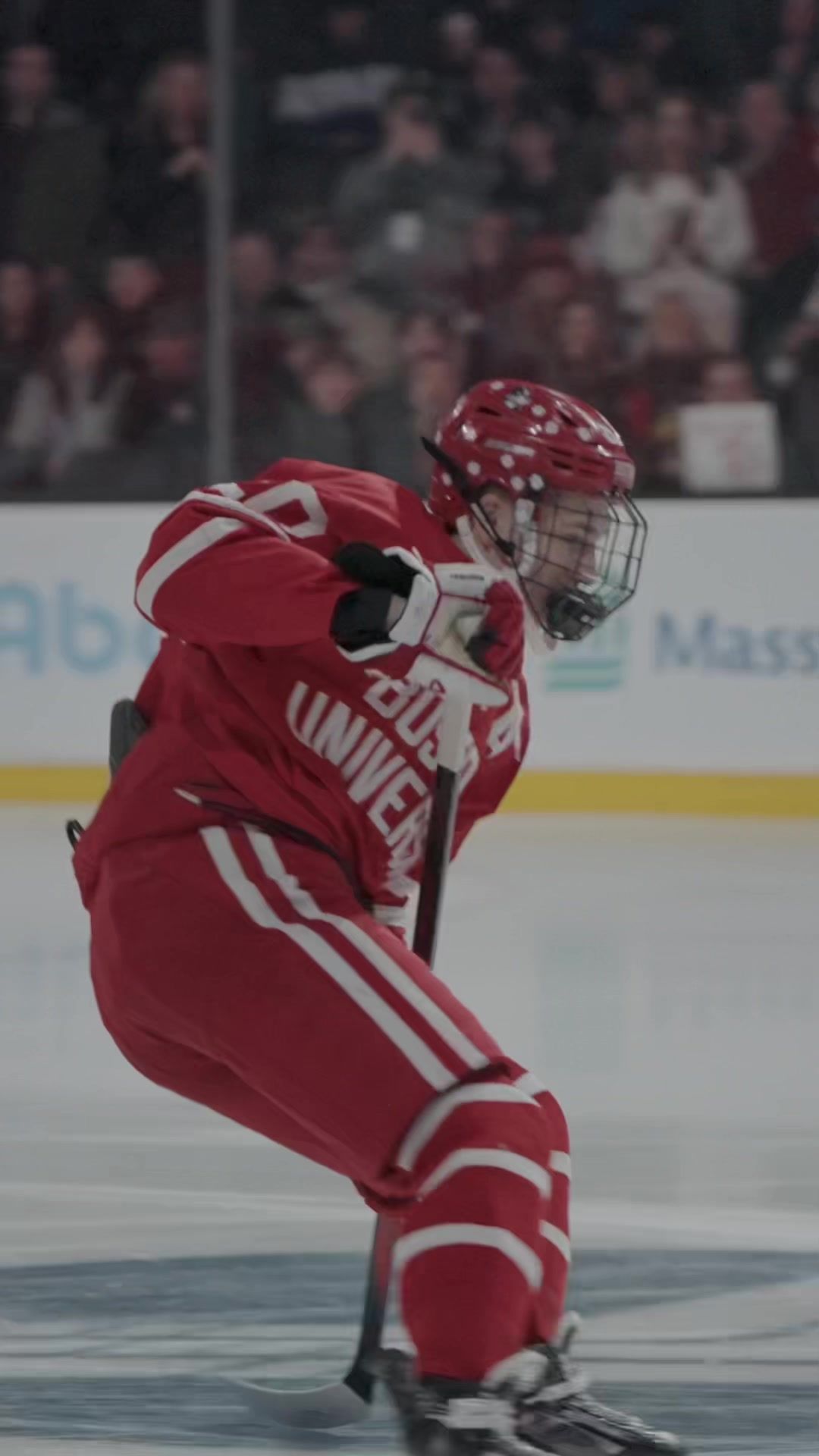 Video post by @berniejpvids on TikTok