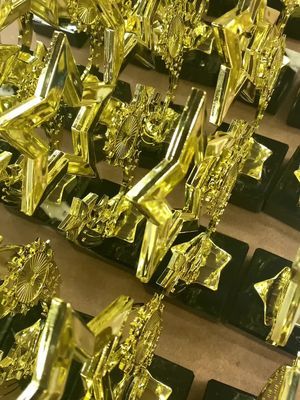 Video post by @trophiesplusmedals on TikTok