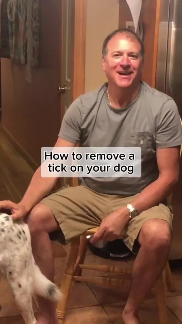 Video post by @bugbitething on TikTok