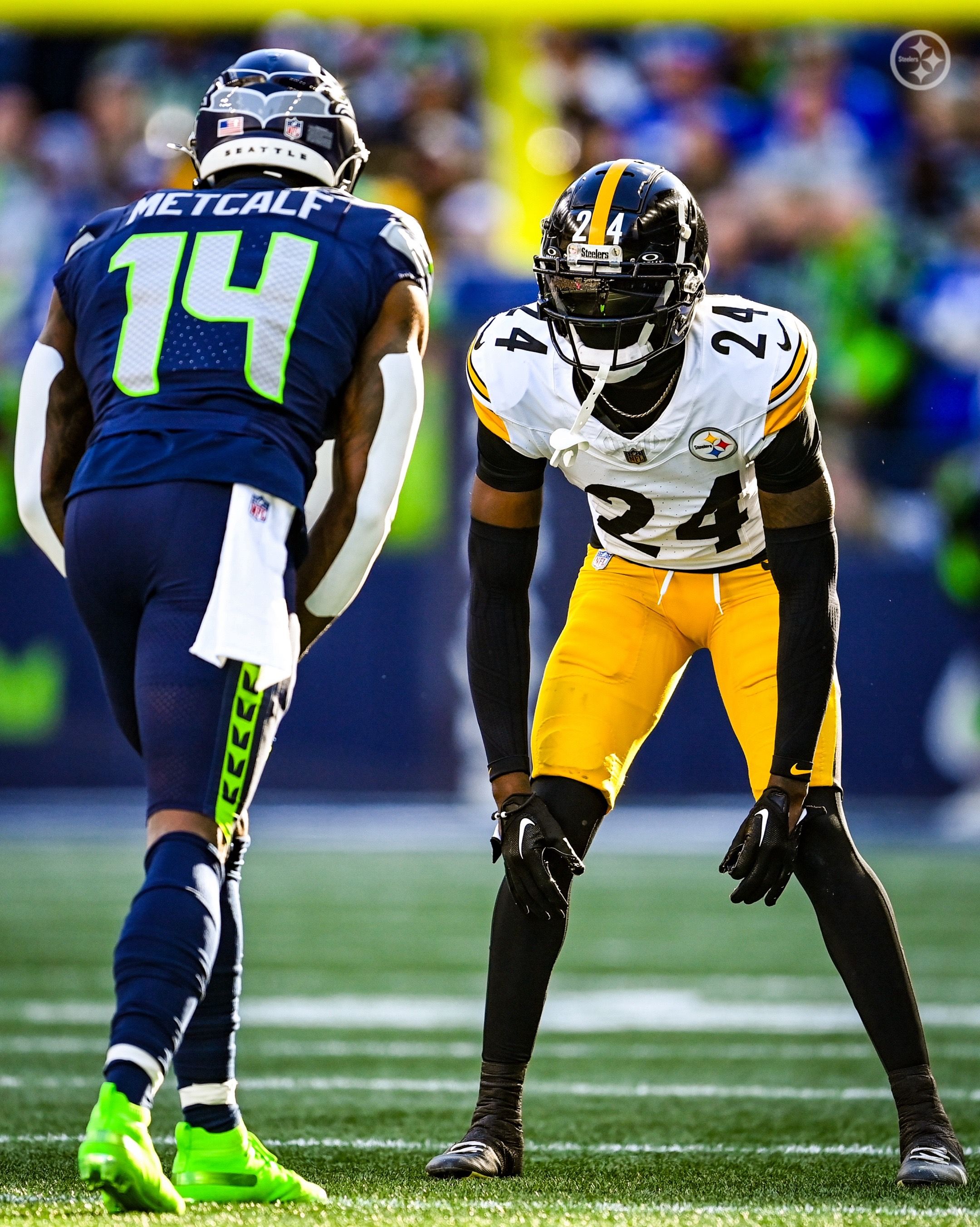 Image post by @steelers on TikTok