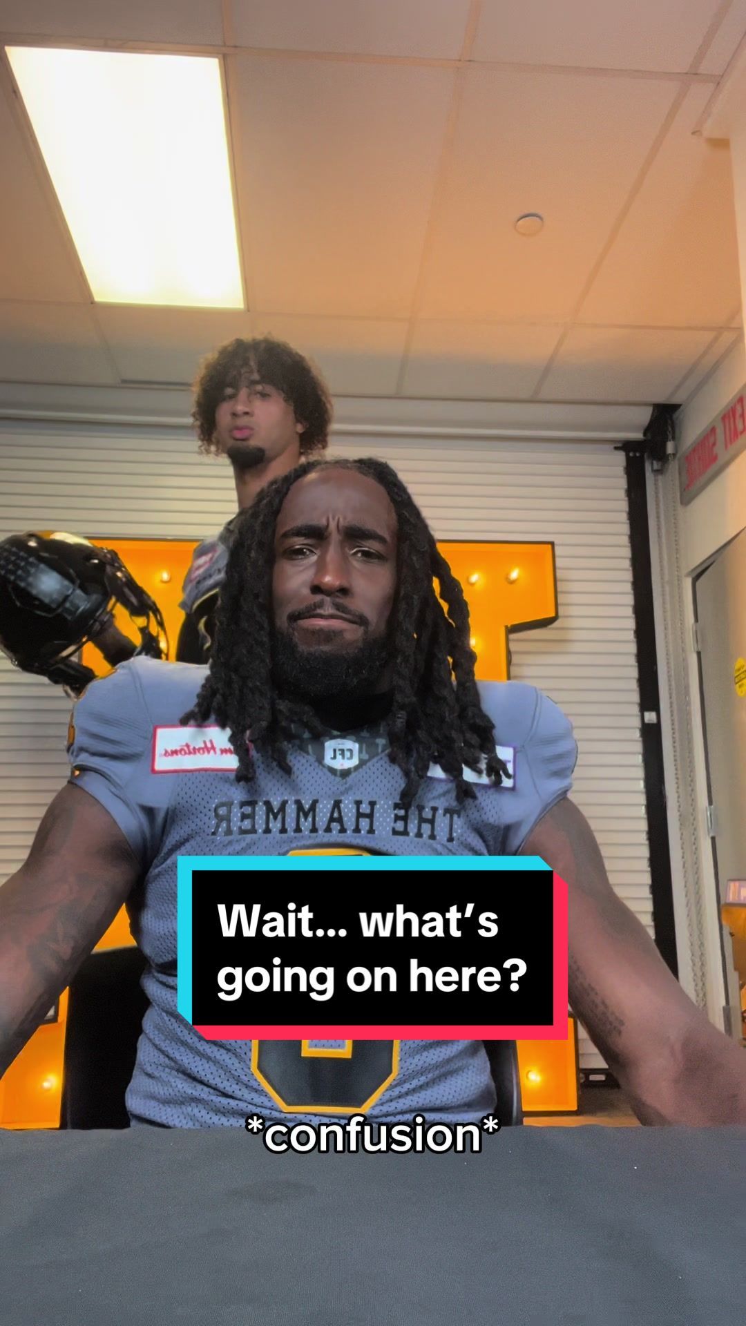 Video post by @hamiltonticats on TikTok