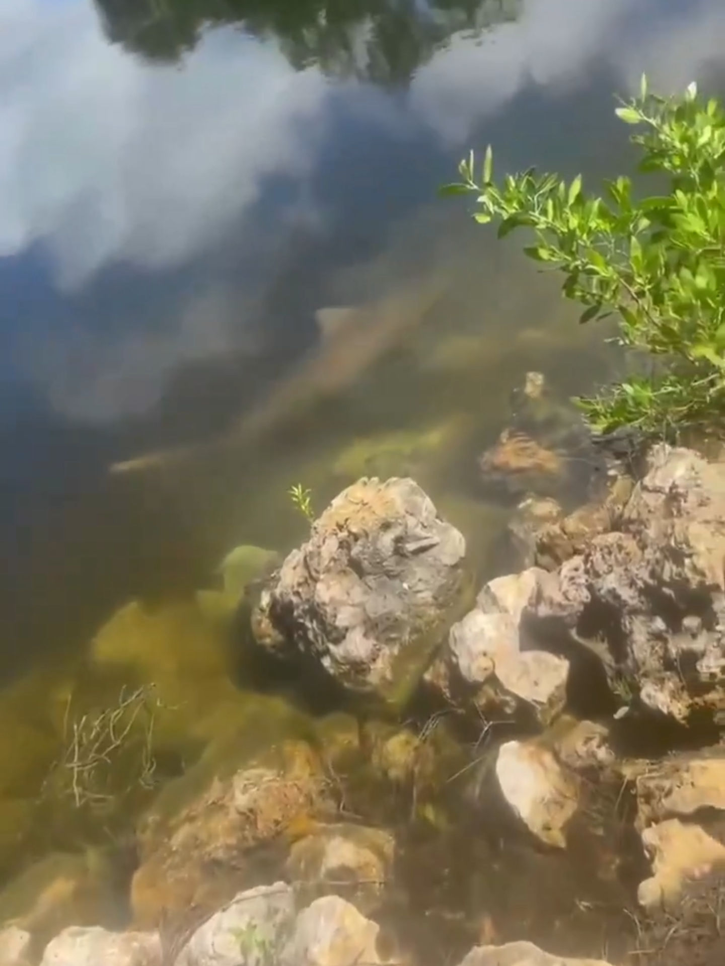 Video post by @foxweather on TikTok