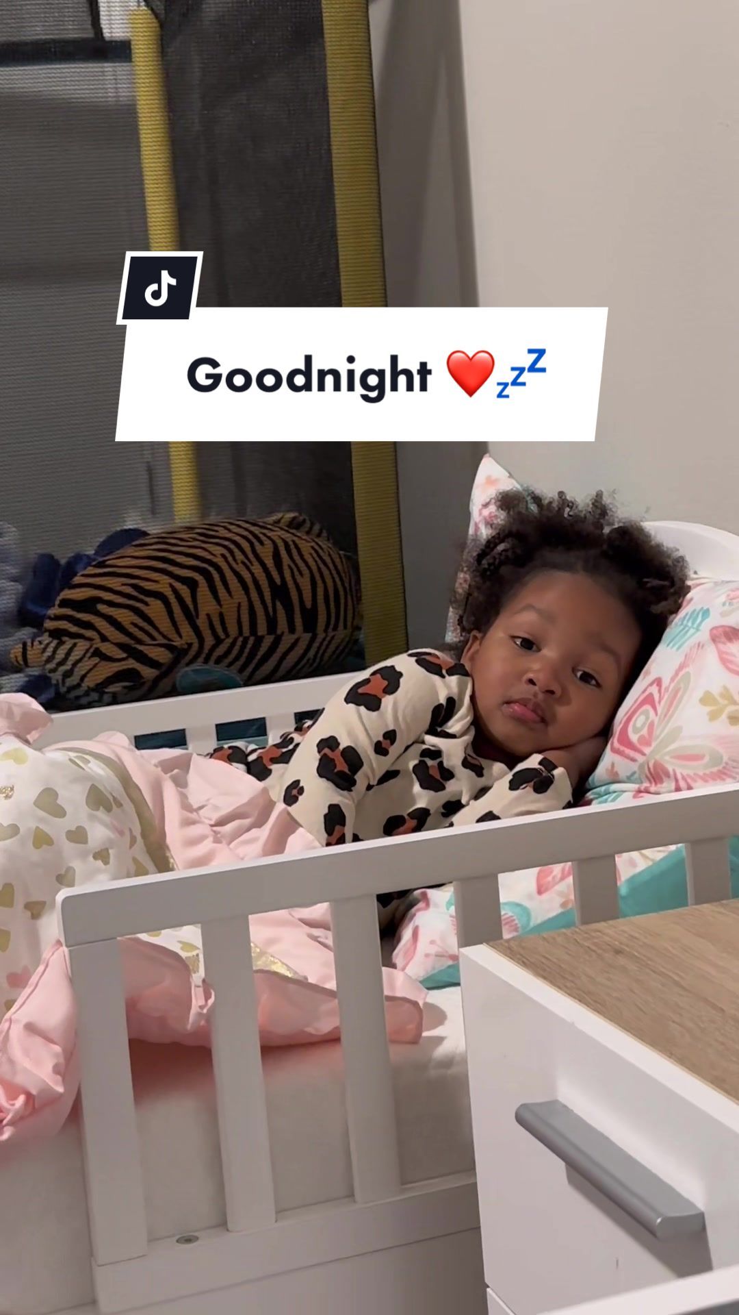 Video post by @jaylabrenae5 on TikTok