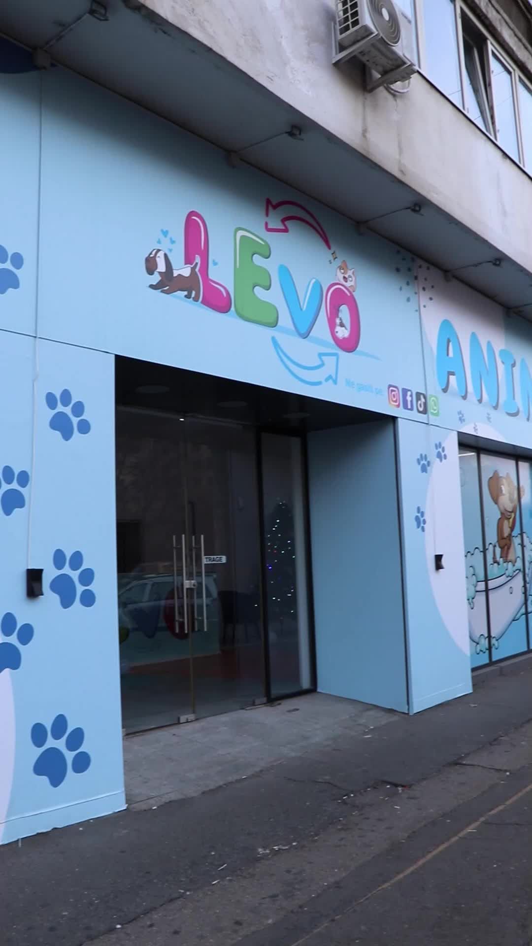 Video post by @levo.animals on TikTok