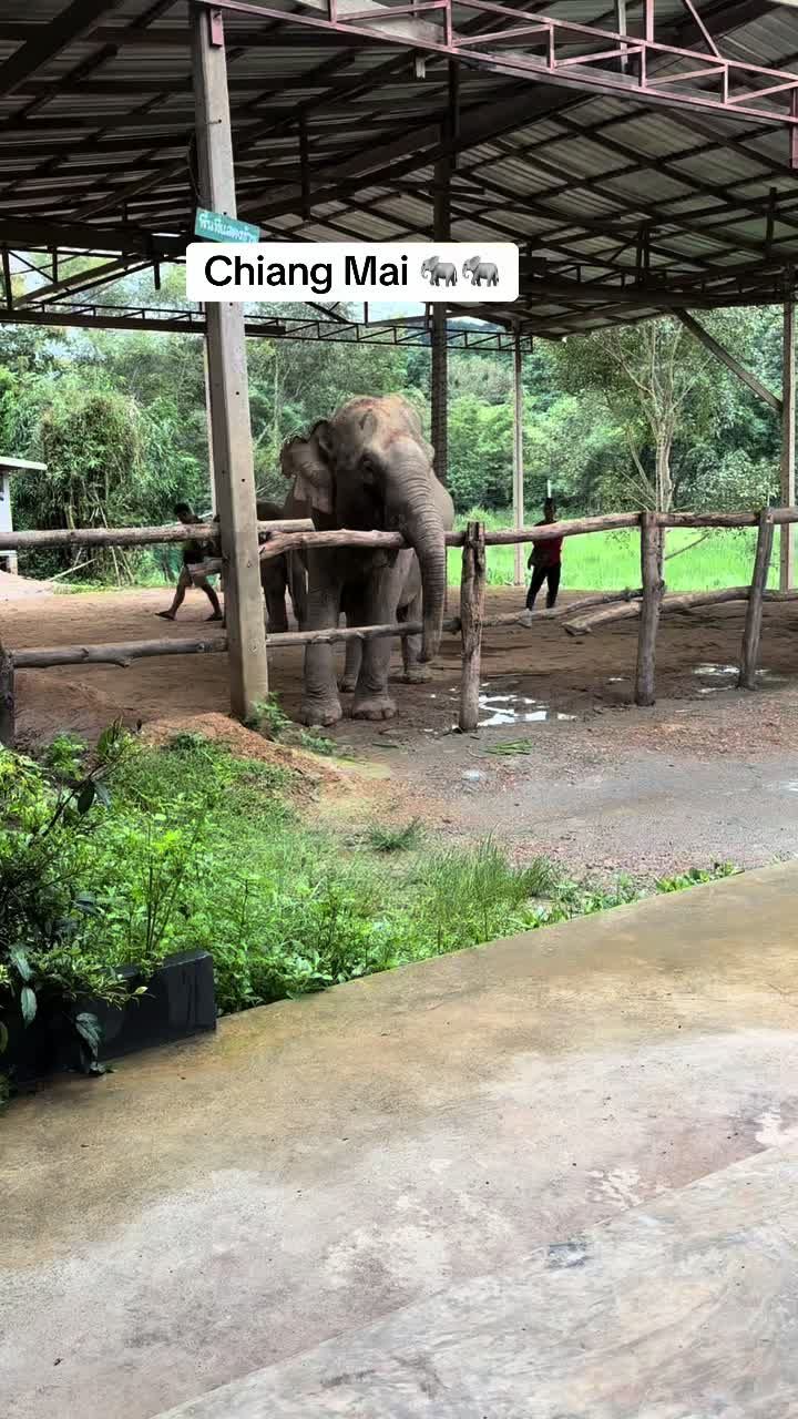 Video post by @popculturenews1 on TikTok