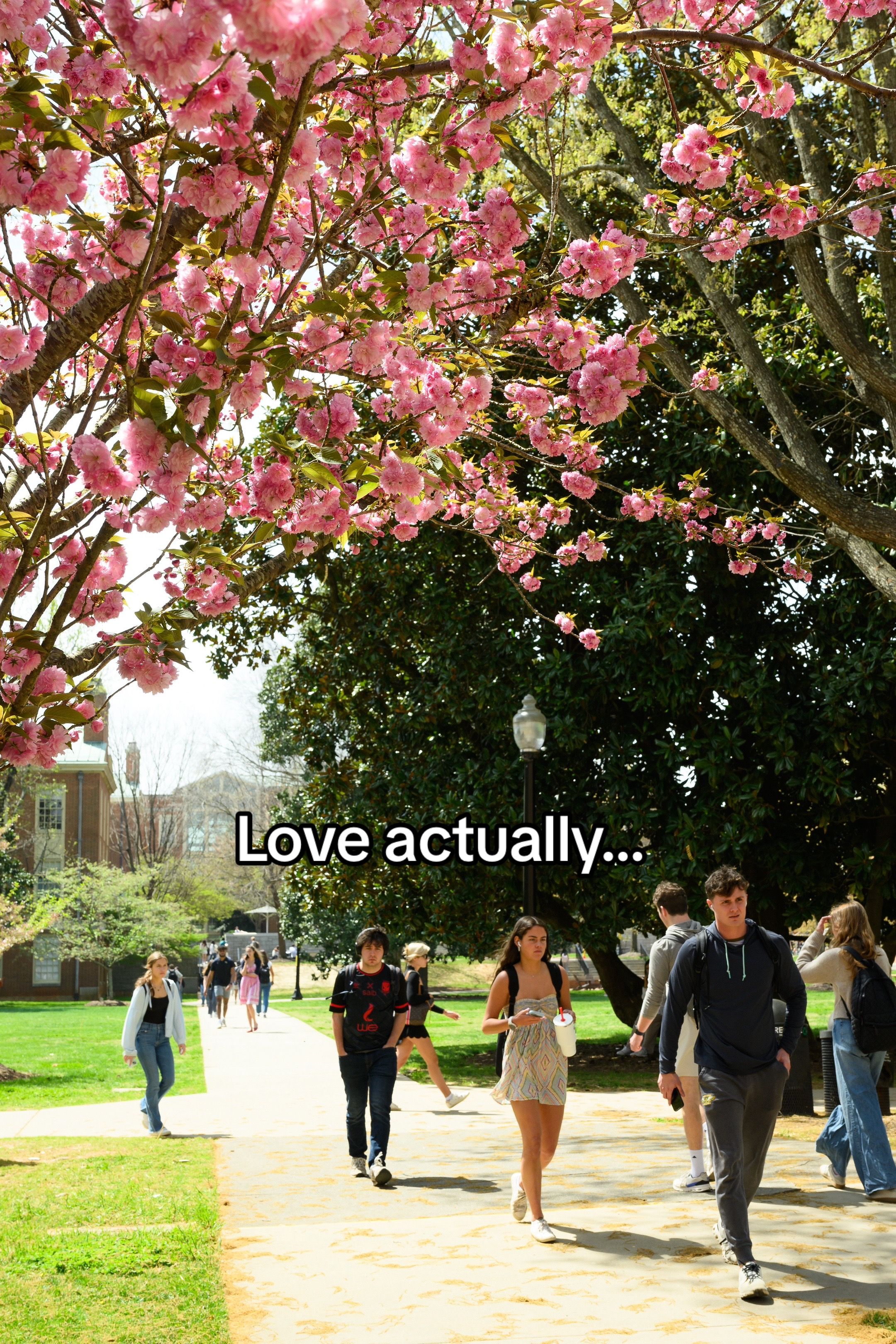 Video post by @wfuniversity on TikTok