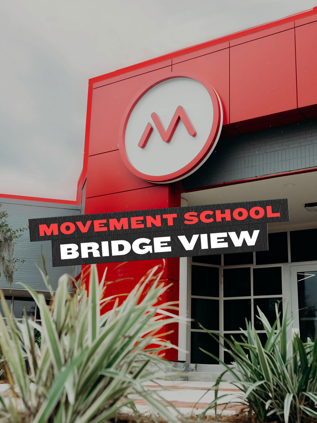 Video post by @movementmtg on TikTok