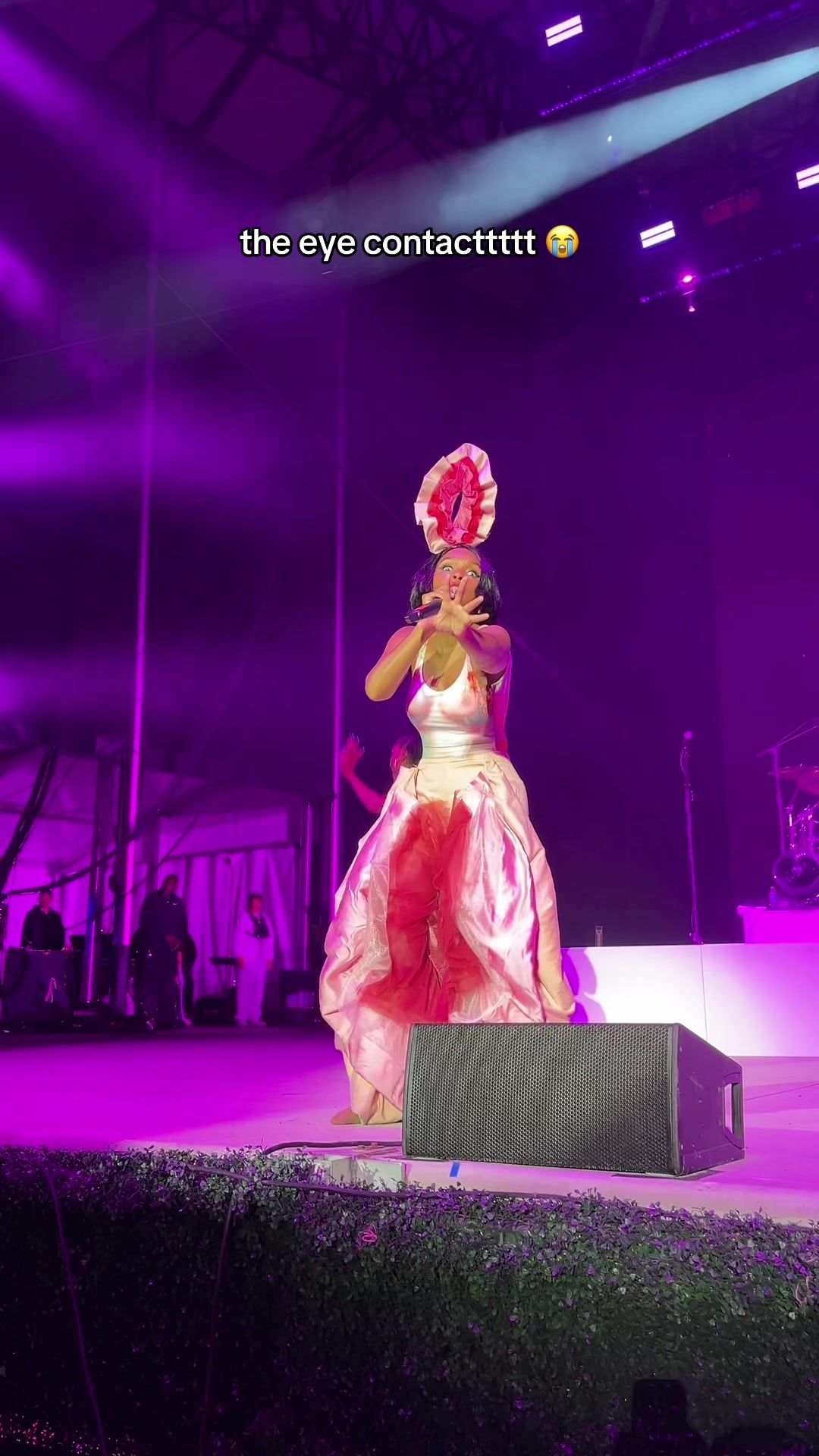 Video post by @allthingsgofestival on TikTok