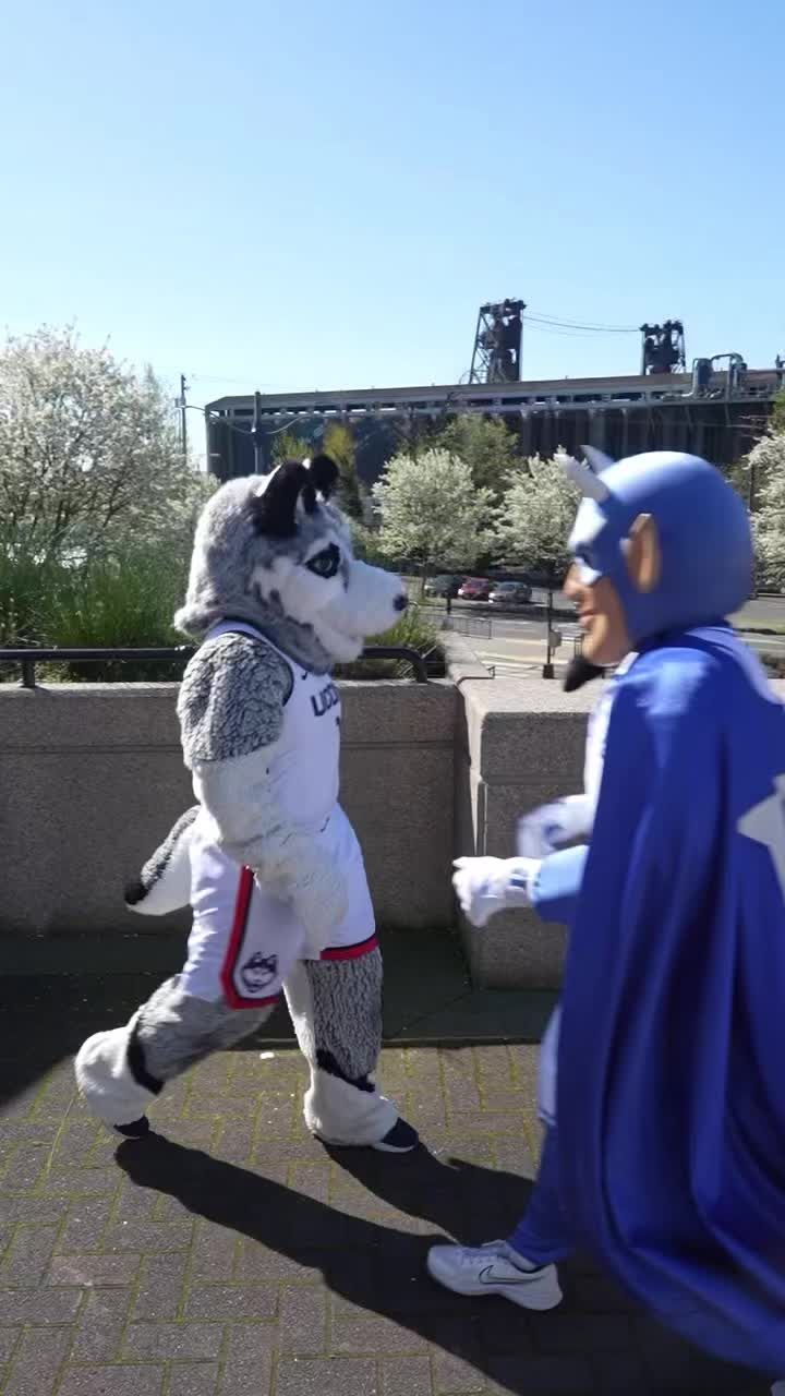 Video post by @uconnhuskies on TikTok