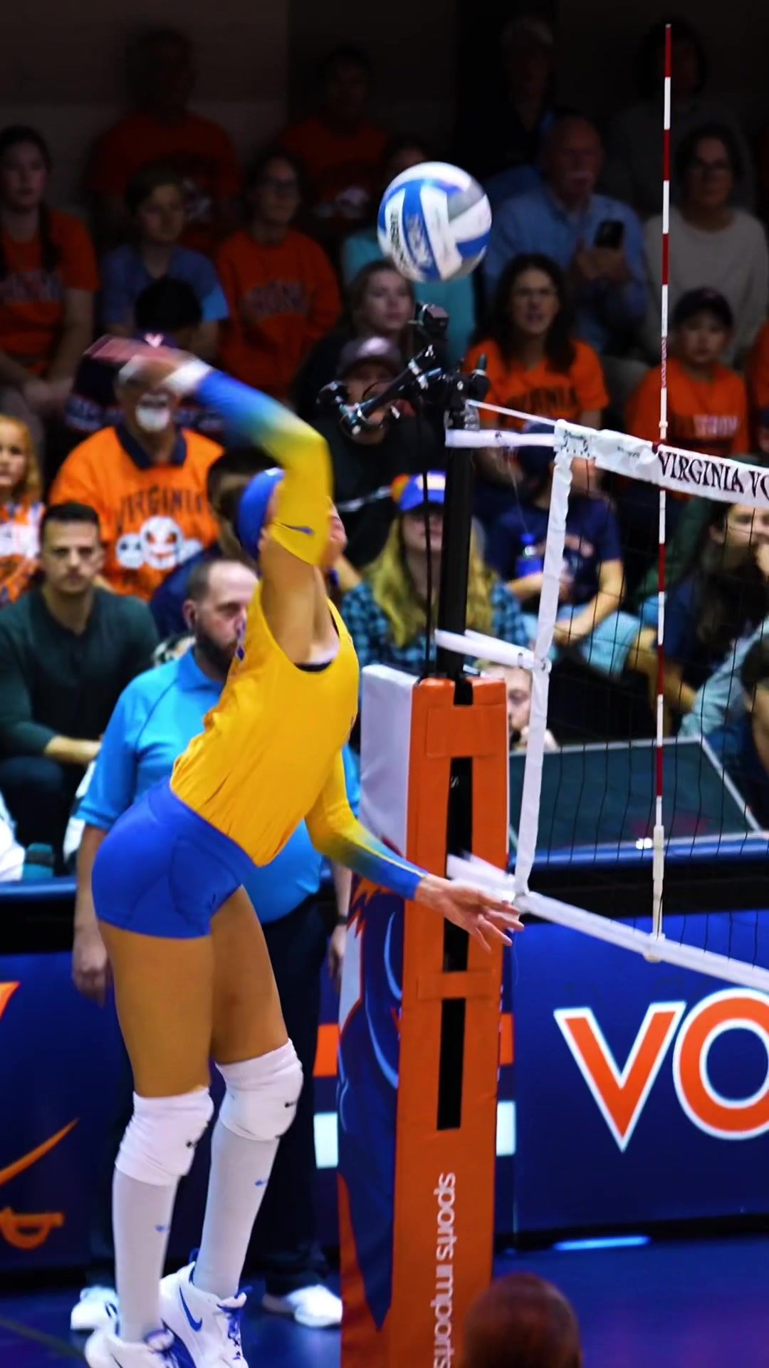 Video post by @winterxst on TikTok