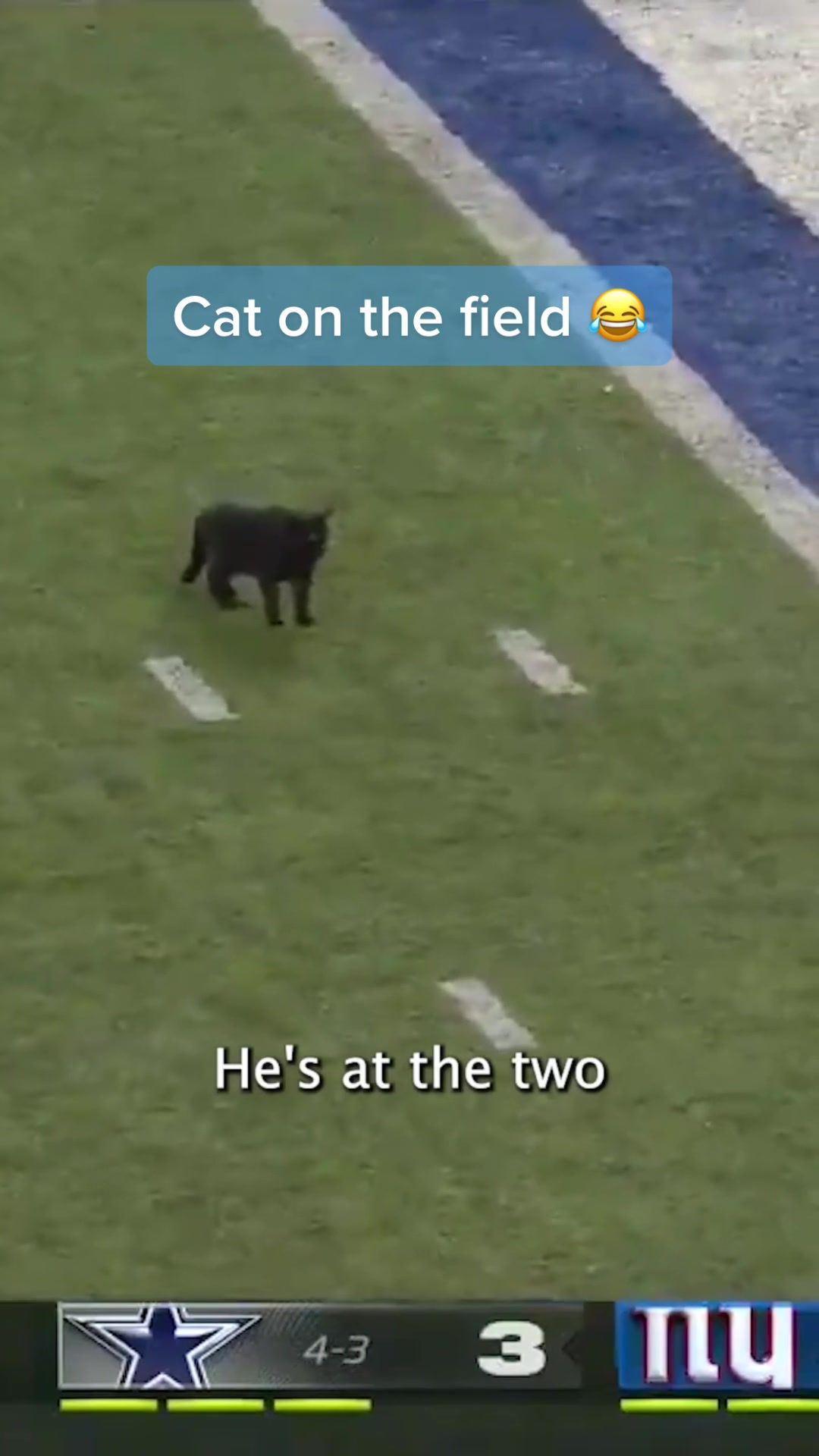 Video post by @nflonfox on TikTok