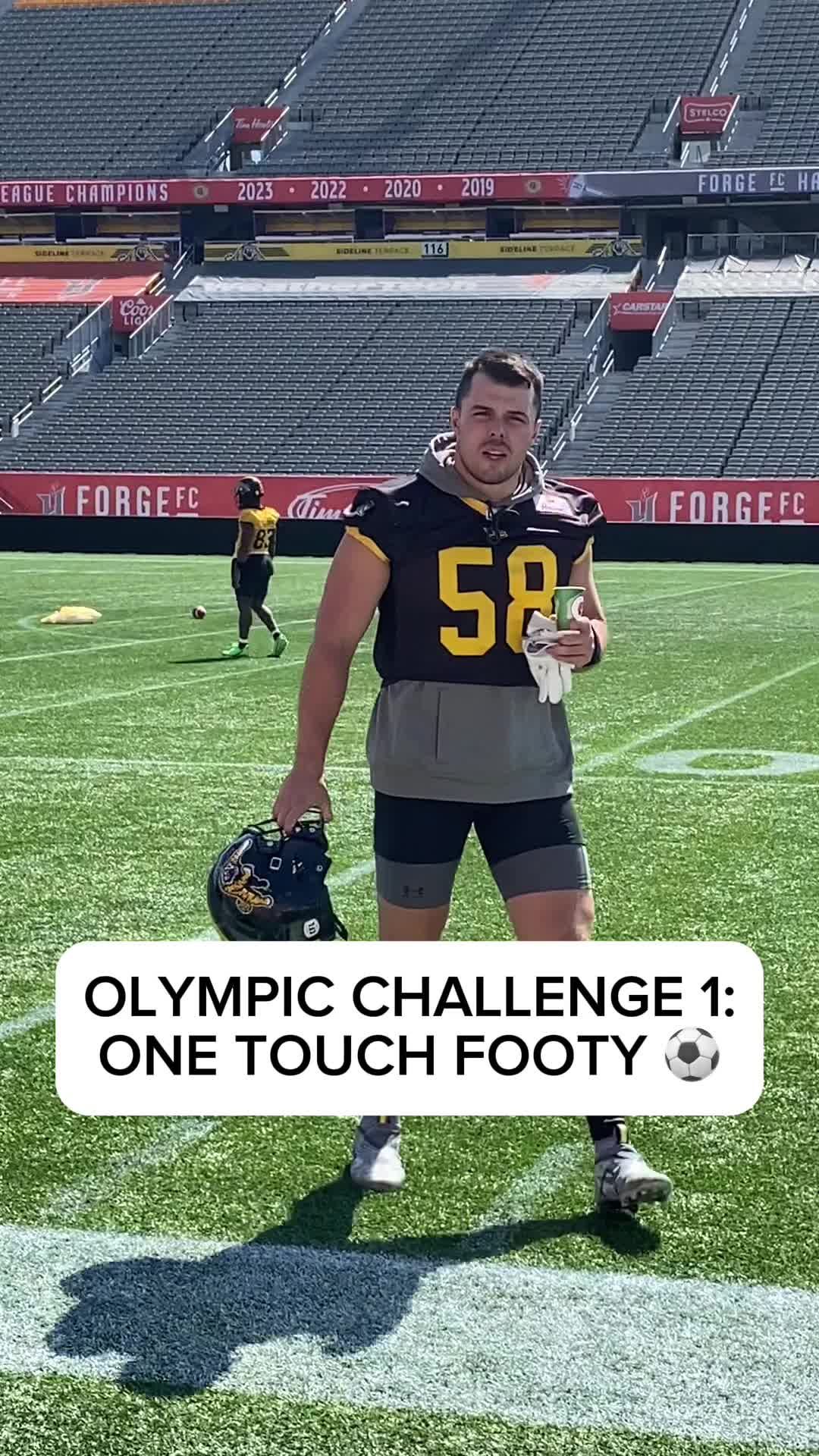 Video post by @hamiltonticats on TikTok